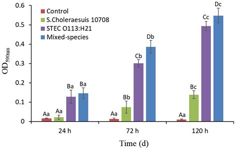 Single- and Dual-Species Biofilm Formation by Shiga Toxin-Producing ...