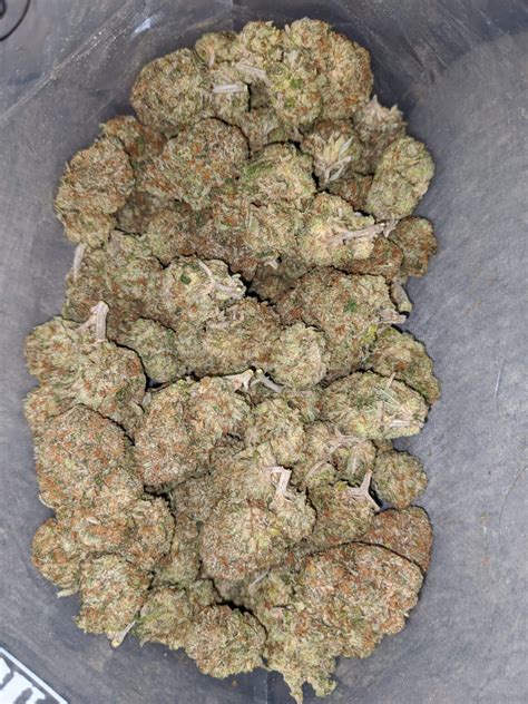 How many stone are in 51 pounds?