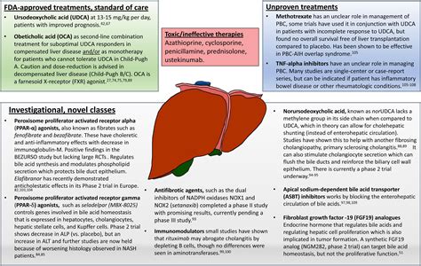 Clinical Updates in Primary Biliary Cholangitis: Trends, Epidemiology ...