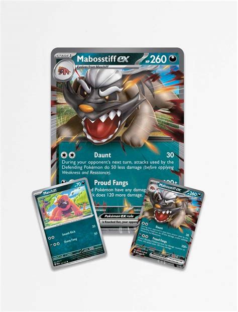 Pokémon TCG: Mabosstiff ex Box – Poku.no