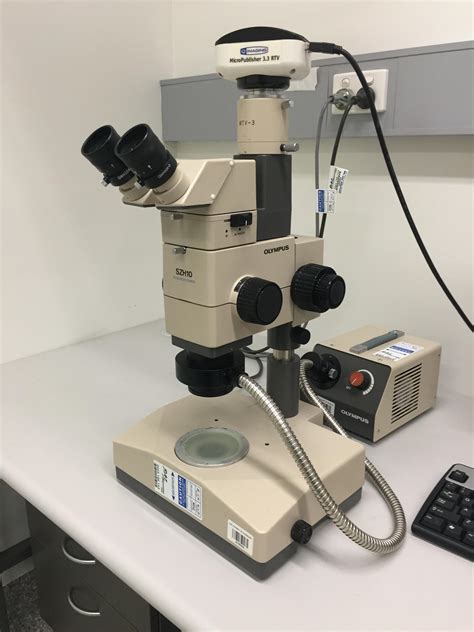 Short Microscope 的图像结果