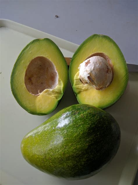 Avocado Premium – Trikaya Online Store