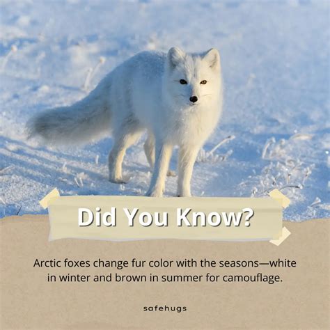 100+ Amazing Animal Facts for Kids (With Quiz)