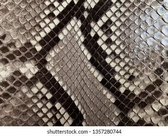 Image result for Embroider Python Skin