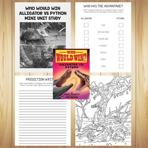 Image result for Alligator Vs Python Read Aloud