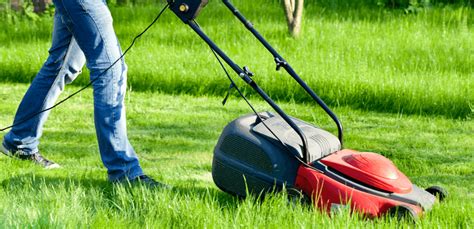 Perché il mio tagliaerba elettrico non parte?   Blog eParti