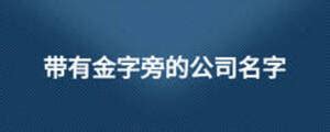 铂字体铂金logo商标志设计图片下载_红动中国