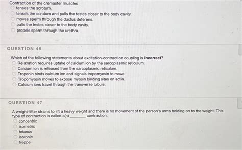 Image result for Cremasteric Muscle Contraction