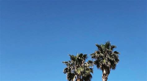 THE M MALIBU - Motel Reviews, Photos, Rate Comparison - Tripadvisor