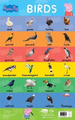 Learn with Peppa Early Learning Birds Chart for Children: Buy Learn ...