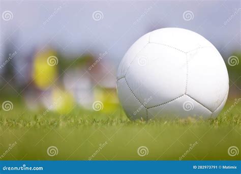 Training Classic Soccer Football Ball on Grass Field. White Soccer ...