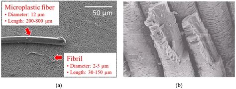 Engineered Biochar for the Sequestration of Textile Fibrous ...