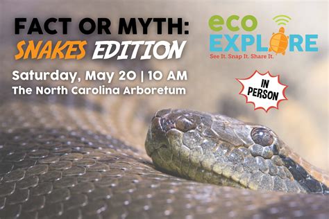 ecoEXPLORE: Fact or Myth - Snakes Edition! | The North Carolina Arboretum