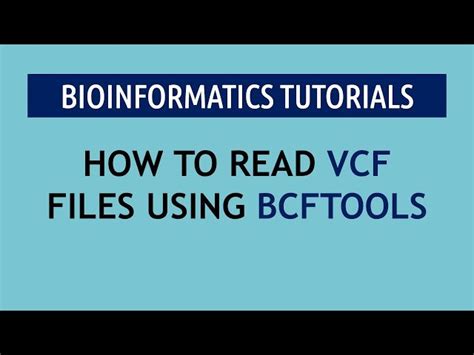 Image result for VCF Storage Setup