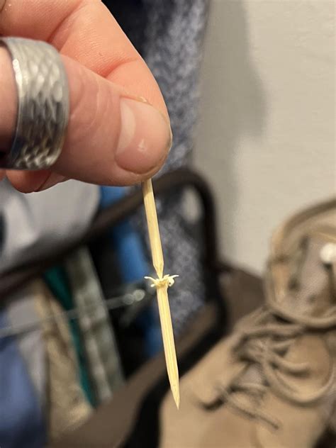 Image result for Toothpick Challange