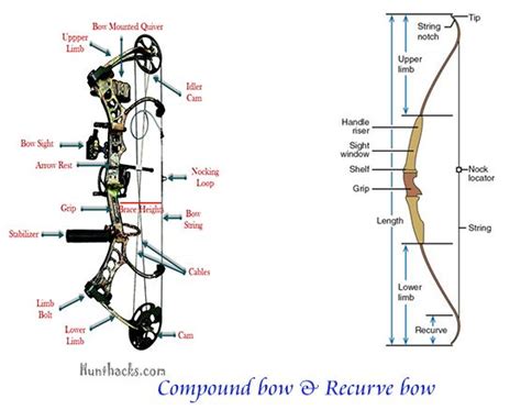 Compound Bow Basics 的图像结果