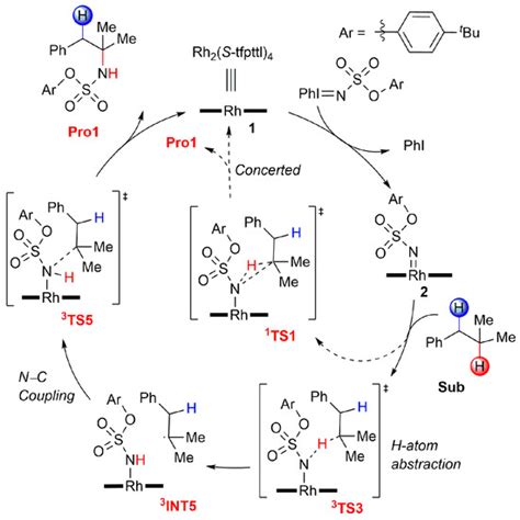 Computational Exploration of Dirhodium Complex-Catalyzed Selective ...
