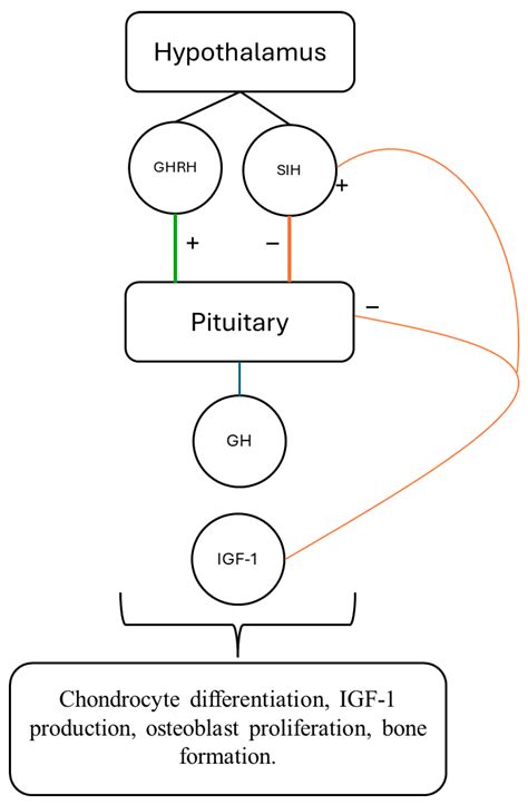 Predictors of Response to Growth Hormone Therapy in Children with ...