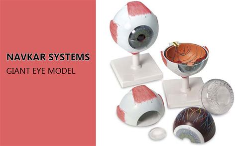 Navkar Systems GIANT EYE MODEL : Amazon.in: Industrial & Scientific