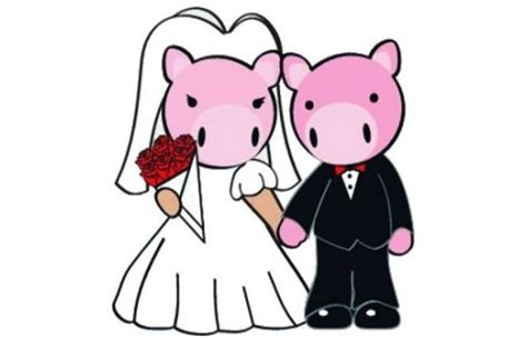 95年属猪一生有几次婚姻 -属猪-生肖网