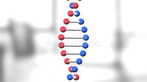 Image result for DNA Structure Animation