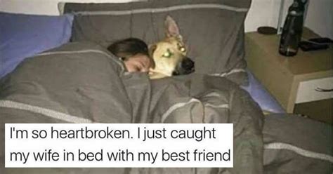 Random Funny Stuff 的图像结果