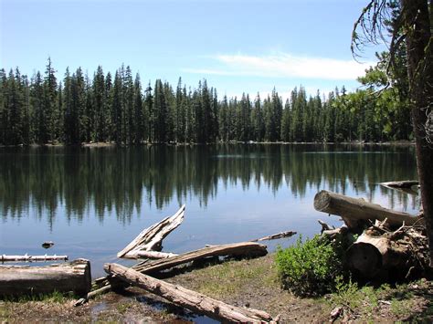 Lake in Woods Campground PA: Nature Escape & Camping Fun
