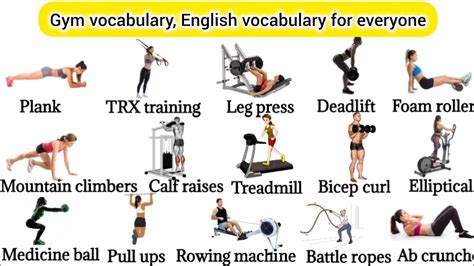 Exercise Words 的图像结果