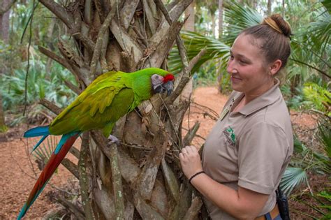 Careers - Brevard Zoo