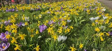 Image result for Spring Weather Meaning