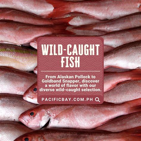 WILD-CAUGHT FISH | Pacific Bay