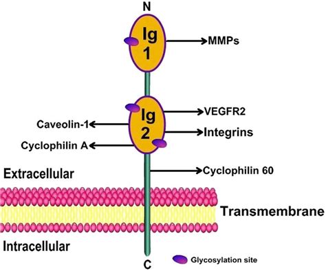 BSG Tutorial 的图像结果