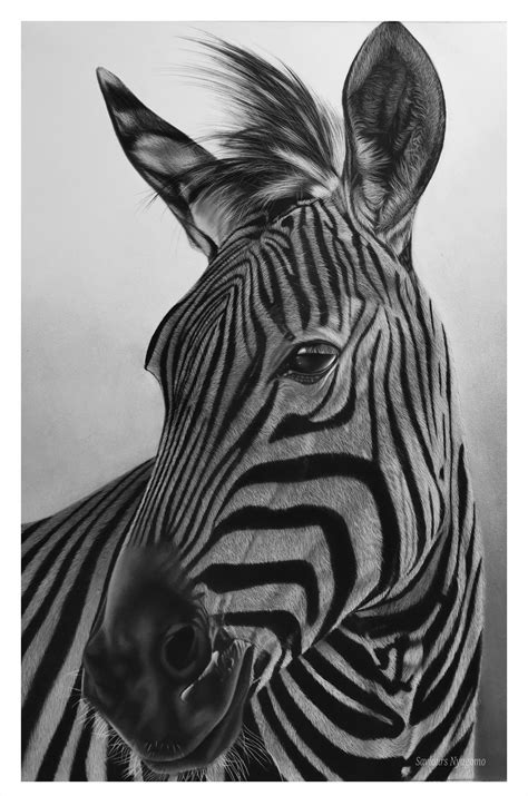 Image result for Zebra Print