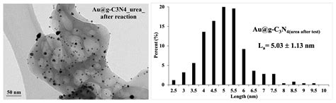 A Comparative Study on the Choice of the Support in the Elaboration of ...