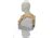 Raptor Tactical GHOST MK2 Plate Carriers FREE S&H RT-GHOST2-BK-L, RT ...