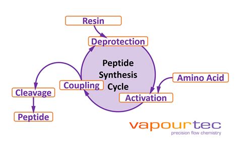 Image result for Peptide Synthesis Process