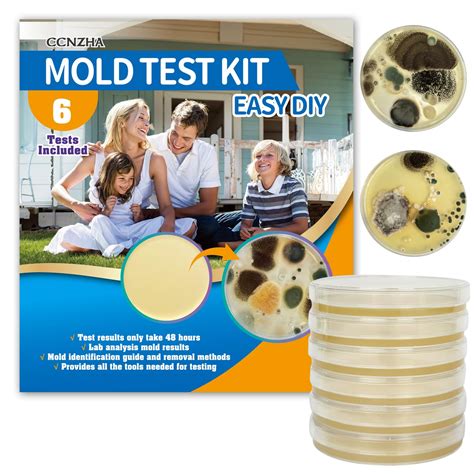 Mold Test Kit for Home -DIY Mold Testing Kit with 6 Individual Tests ...
