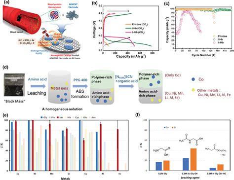 Image result for Clrk Electrode ABG PaO2