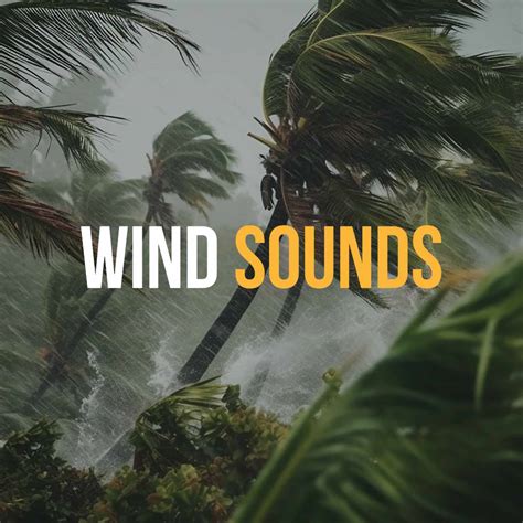 Constant Wind Sound Effect 的图像结果