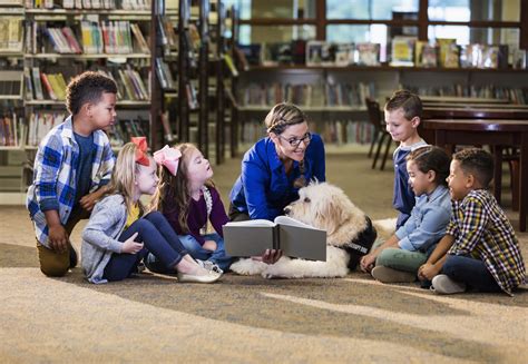 Top Libraries Near Beacon Lake in St. Johns County