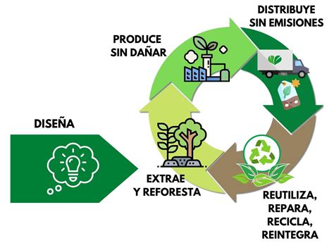¿Qué es la economía circular? – Econia