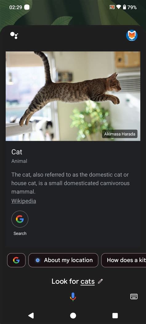 Descargar Asistente de Google 0.1 APK Gratis para Android