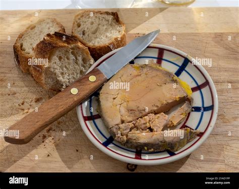 Starter dish Foie gras fat liver specialty food product made of liver ...