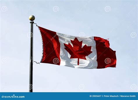 Flag of Canada - Maple Leaf Flag Stock Image - Image of photograph ...