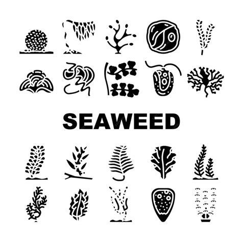 Conjunto de ícones de plantas subaquáticas do mar de algas marinhas ...