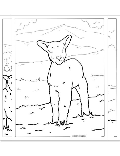 Fairy Coloring Pages(34+ free printable coloring pages) | Cute Coloring ...