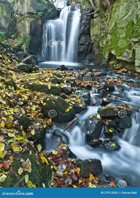 Yellow Autumn Leaves in a Woodland Stream Stock Image - Image of fall ...