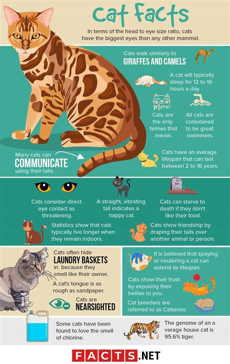 Cat Fact Texts - Truth or Fiction