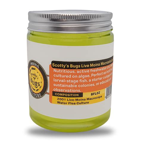 200+ Live Moina Macrocopa Culture – High-Protein Water Fleas for Larval Fish, Aquariums & School ...