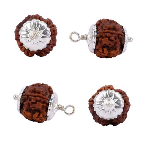 Giri - 7 Mukhi Rudraksha | Rudraksha Pendant | Rudraksham